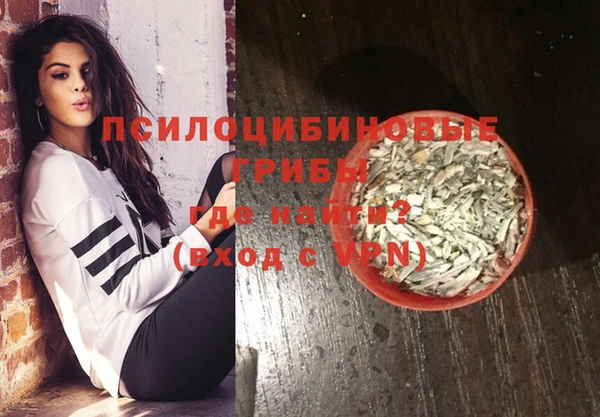 индика Баксан