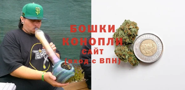 индика Баксан
