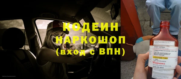 крисы Новодвинск