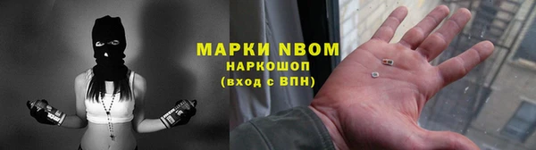 индика Баксан