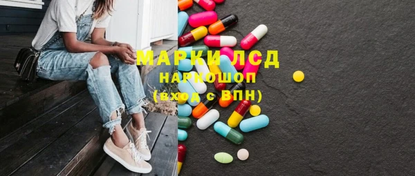 индика Баксан