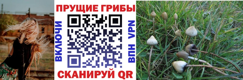 Псилоцибиновые грибы Magic Shrooms  кракен как войти  Нижняя Салда 